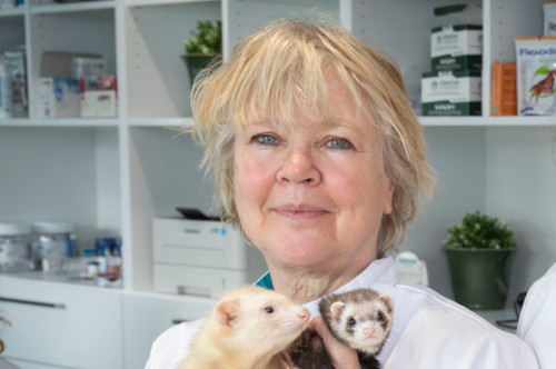 Photo of Tineke Deden — Ferret Consultant